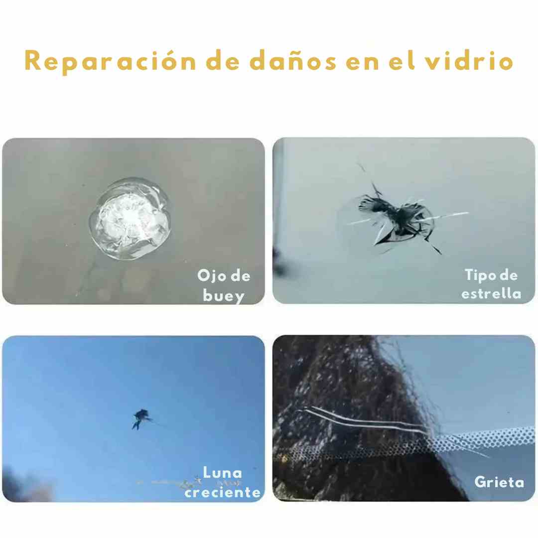WINSHIELD™ (Reparador parabrisas)